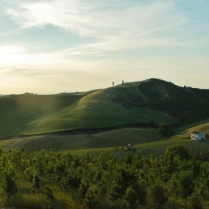 Poggio Ai Legni Villa Certaldo Buitenkant foto